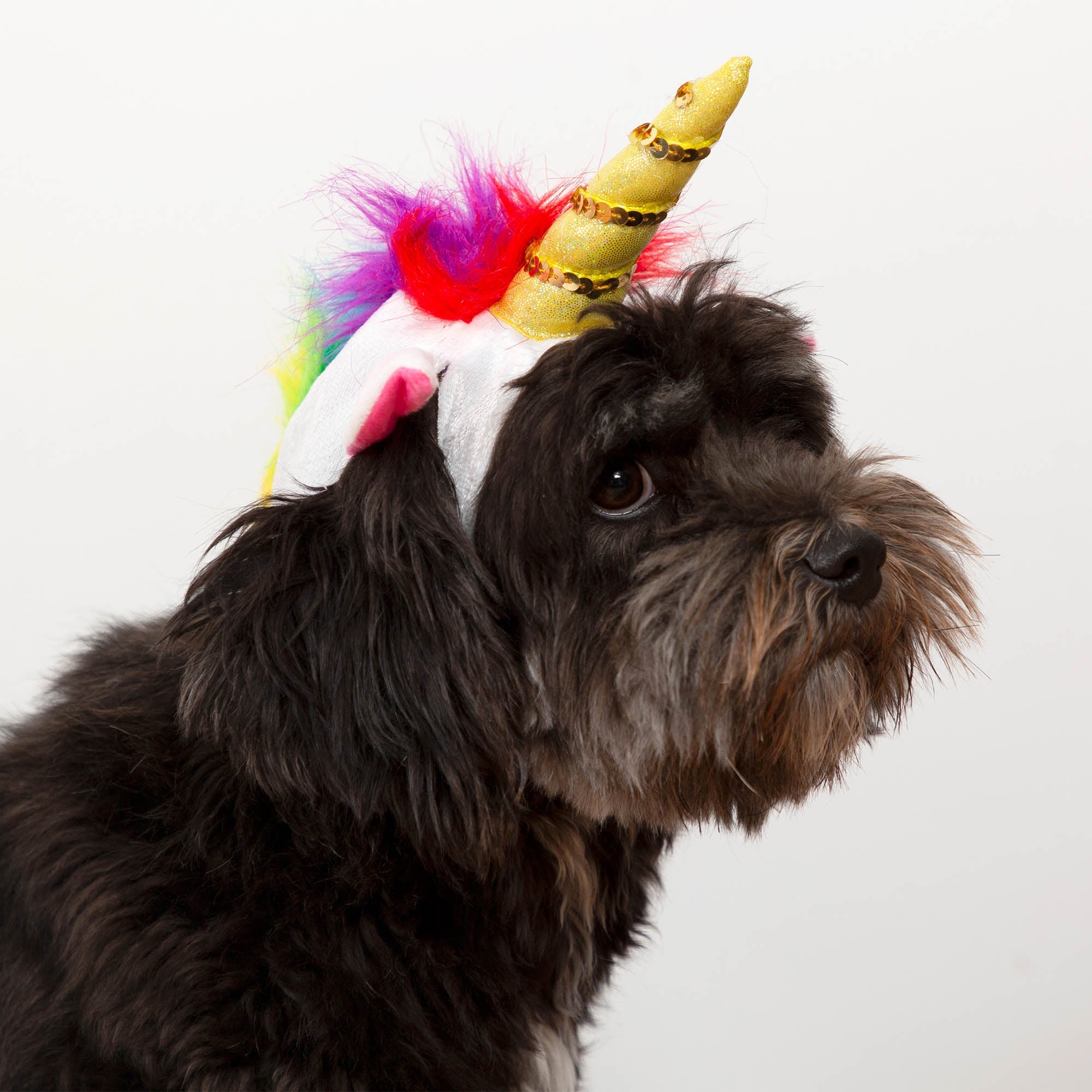 Perfectly Precious Pet Costume – Halloween Dress-Up GreaterGood