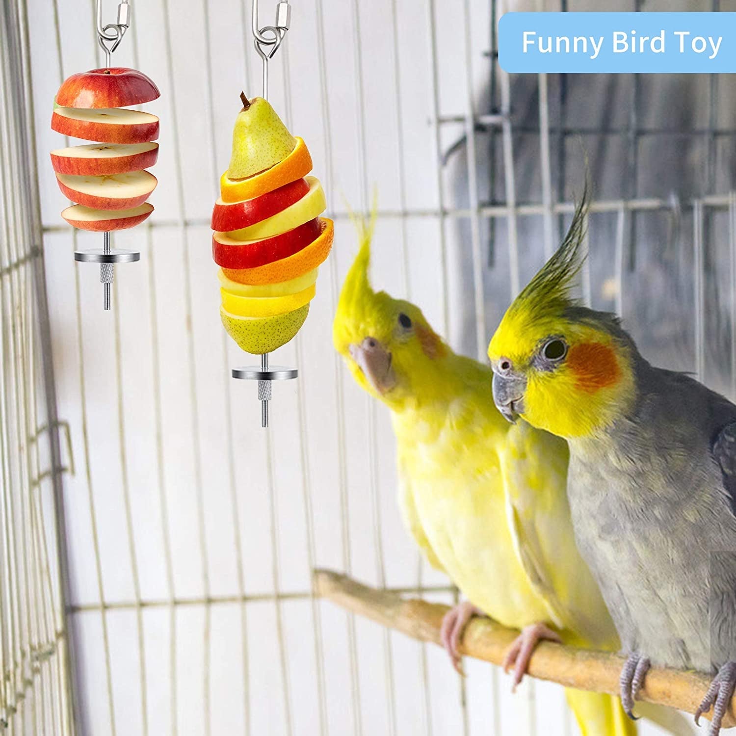 Daoeny 3Pcs Stainless Steel Bird Food Holder MJ's Pet Closet