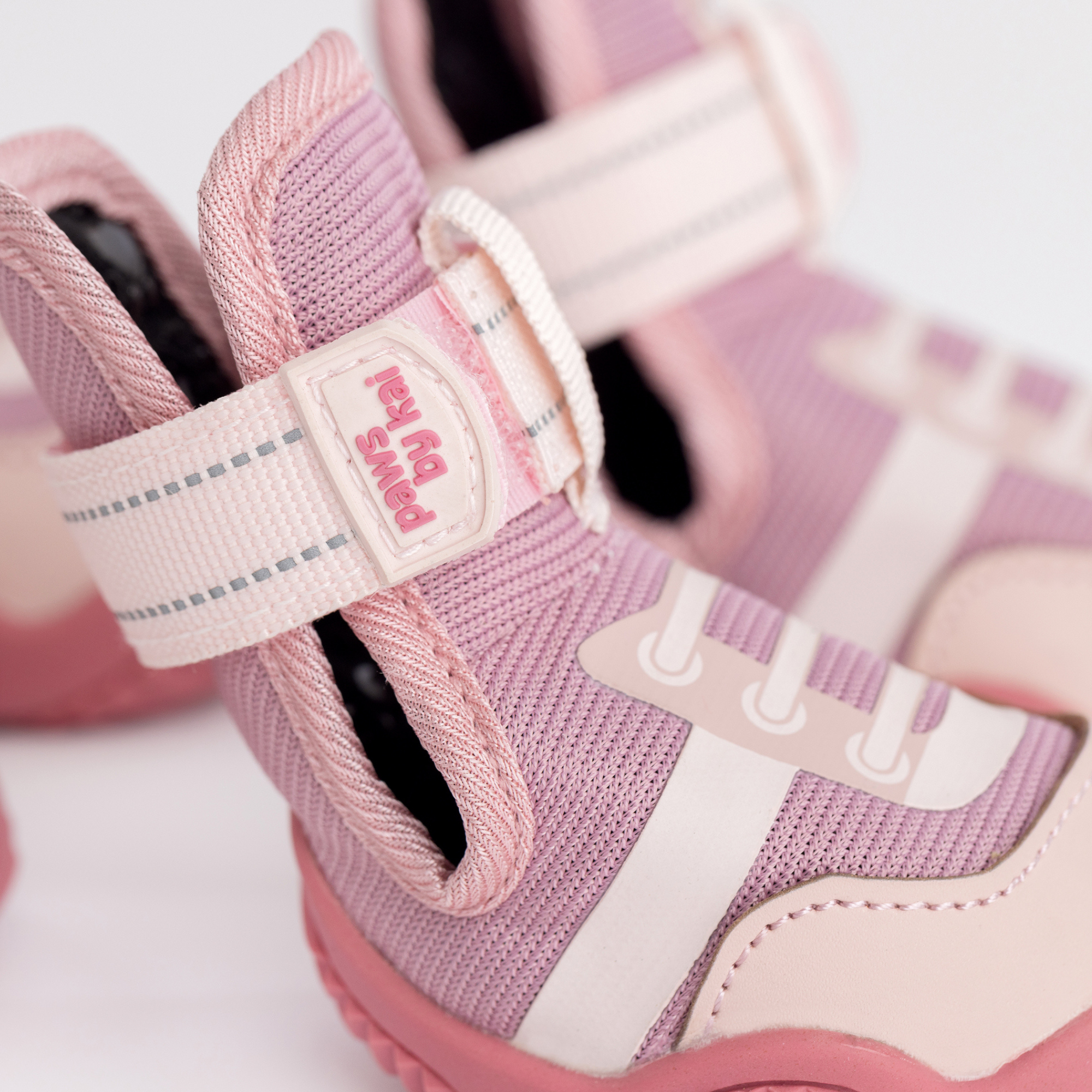 The Kai Dog Sneaker – All-Season Sport Shoes Paws By Kai