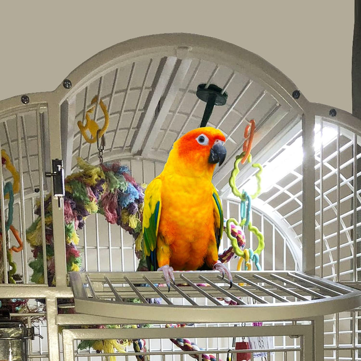 M&M Happybird Full Spectrum LED Bird Cage Light with Chew Guard | 18" | UV-Free | For Hookbill & Soft-Billed Birds MJ's Pet Closet