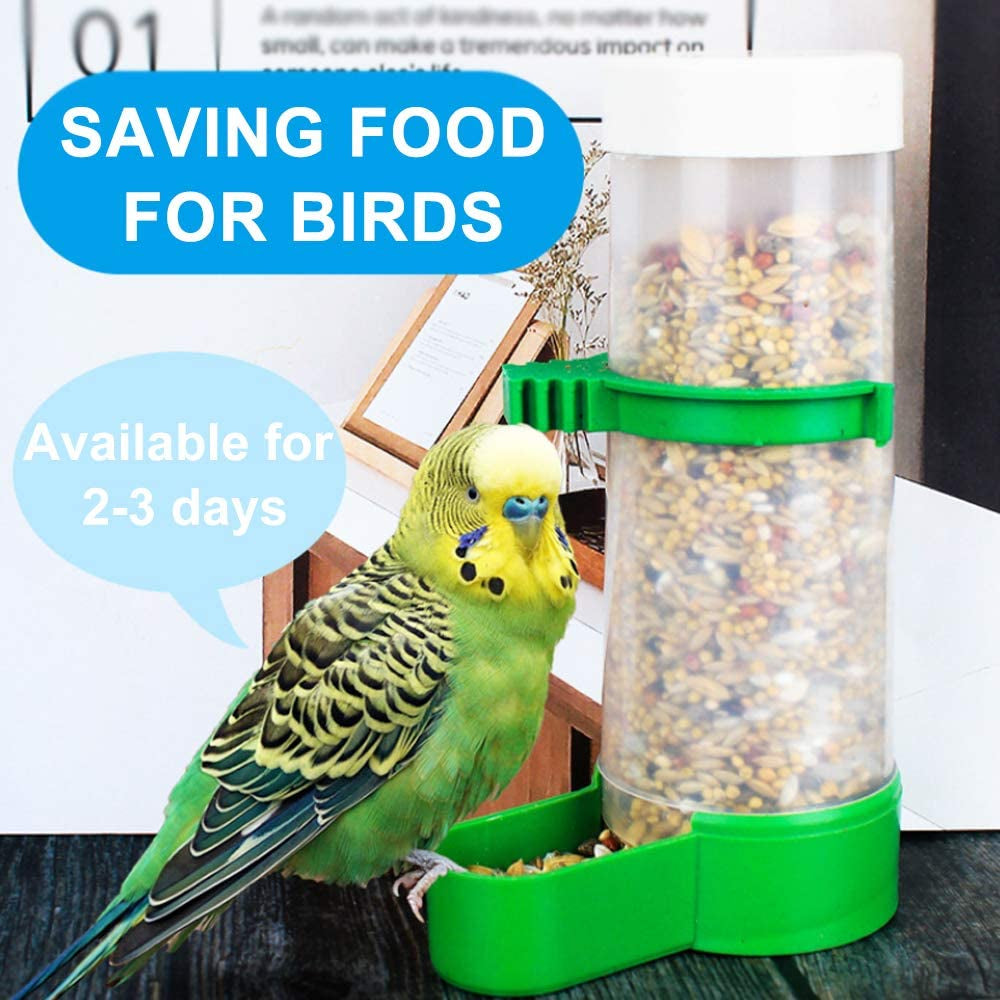 XISTEST Automatic Bird Feeder & Water Dispenser Set – Small (60ml) MJ's Pet Closet