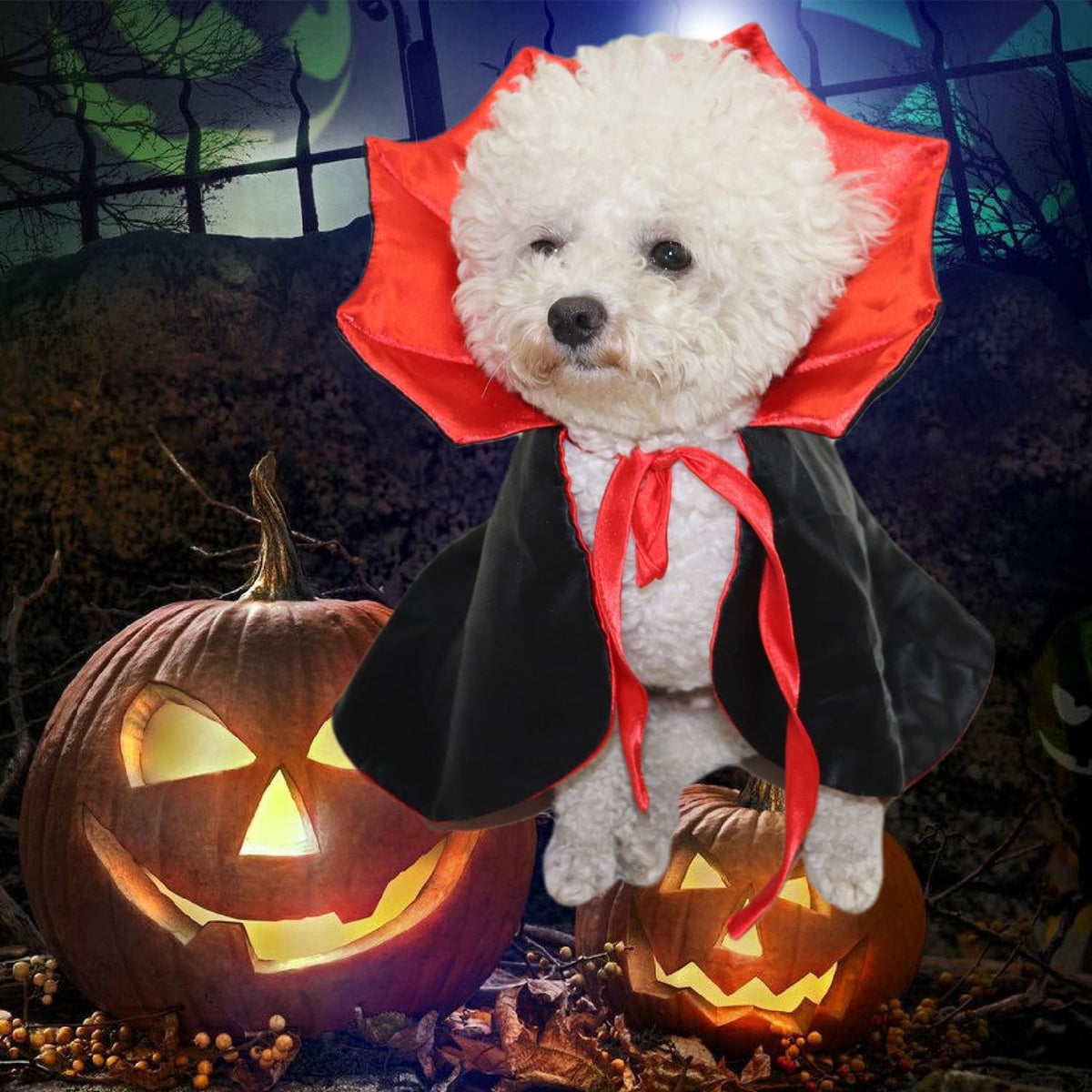 Cute Vampire Cloak Pet Costume – Halloween Cosplay Pet Zen