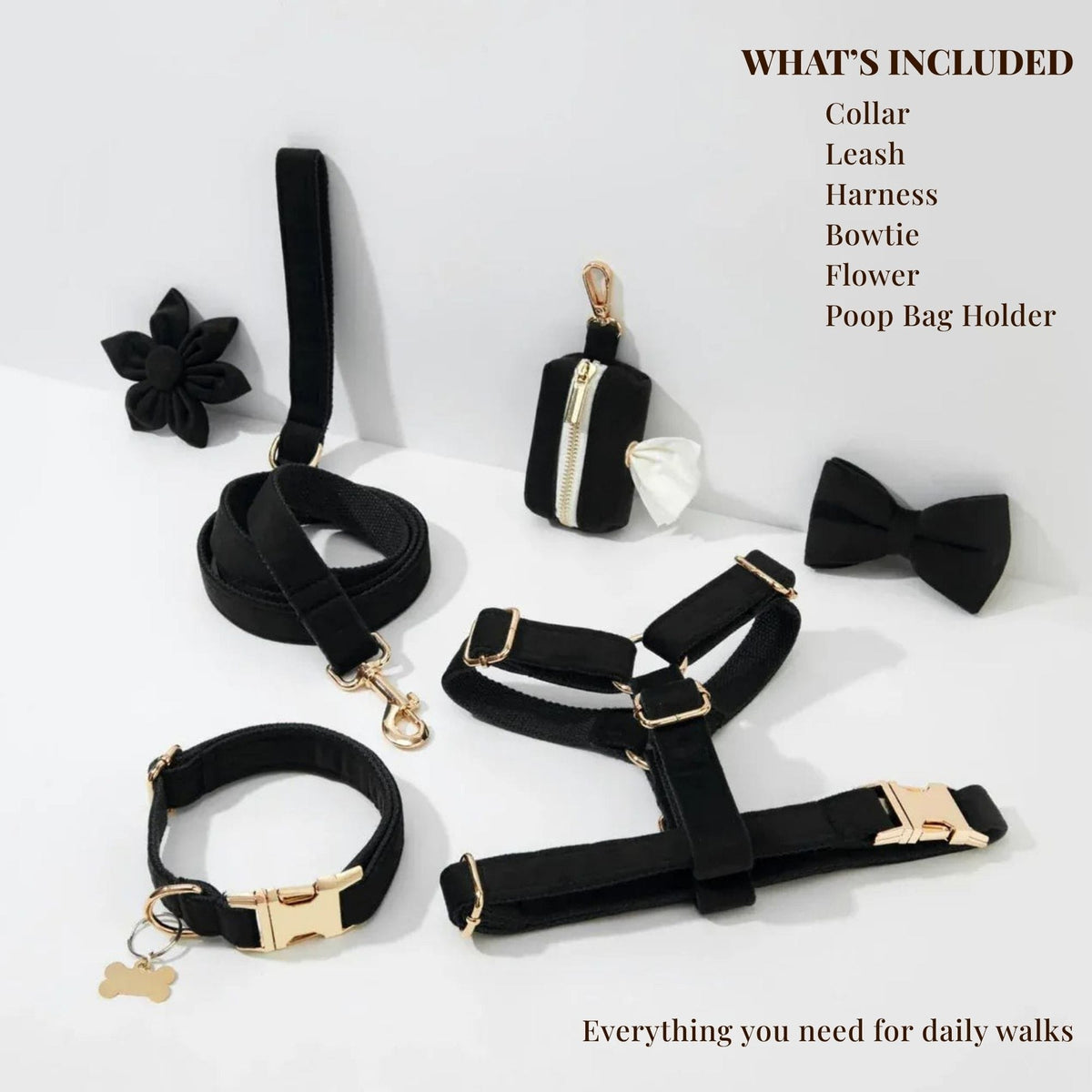 Black velvet personalized dog harness, collar, and leash set with engraved buckle