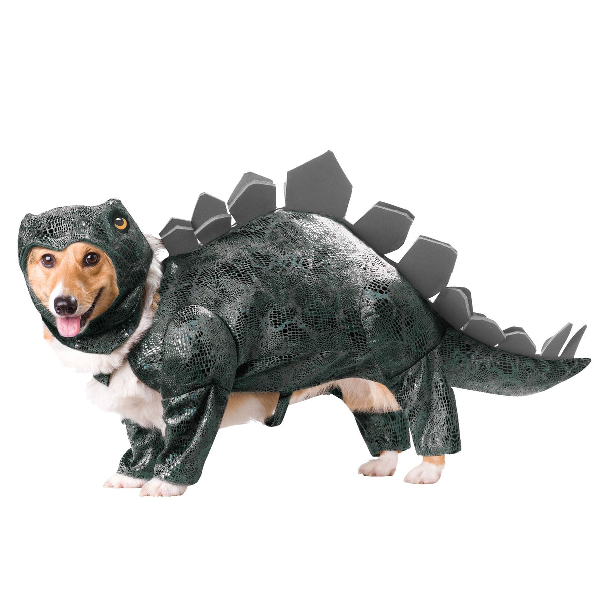 Dog wearing a Stegosaurus costume on a white background