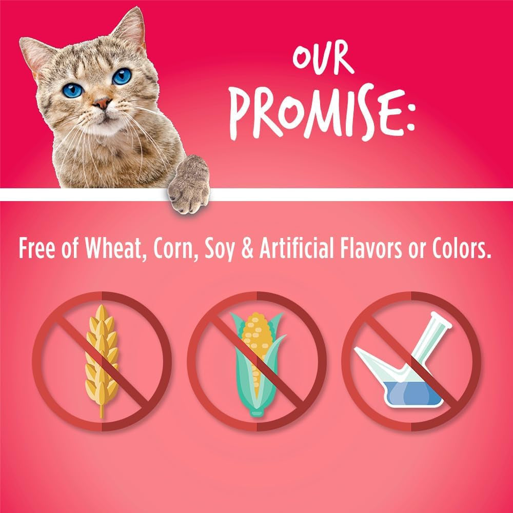 Fruitables Crunchy Cat Treats – Real Salmon & Cranberry with Superfood Ingredients | 2.5 oz MJ's Pet Closet