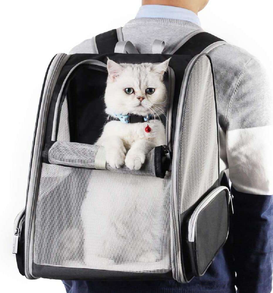 Bubble Backpack Pet Carrier for Cats & Dogs MJ's Pet Closet