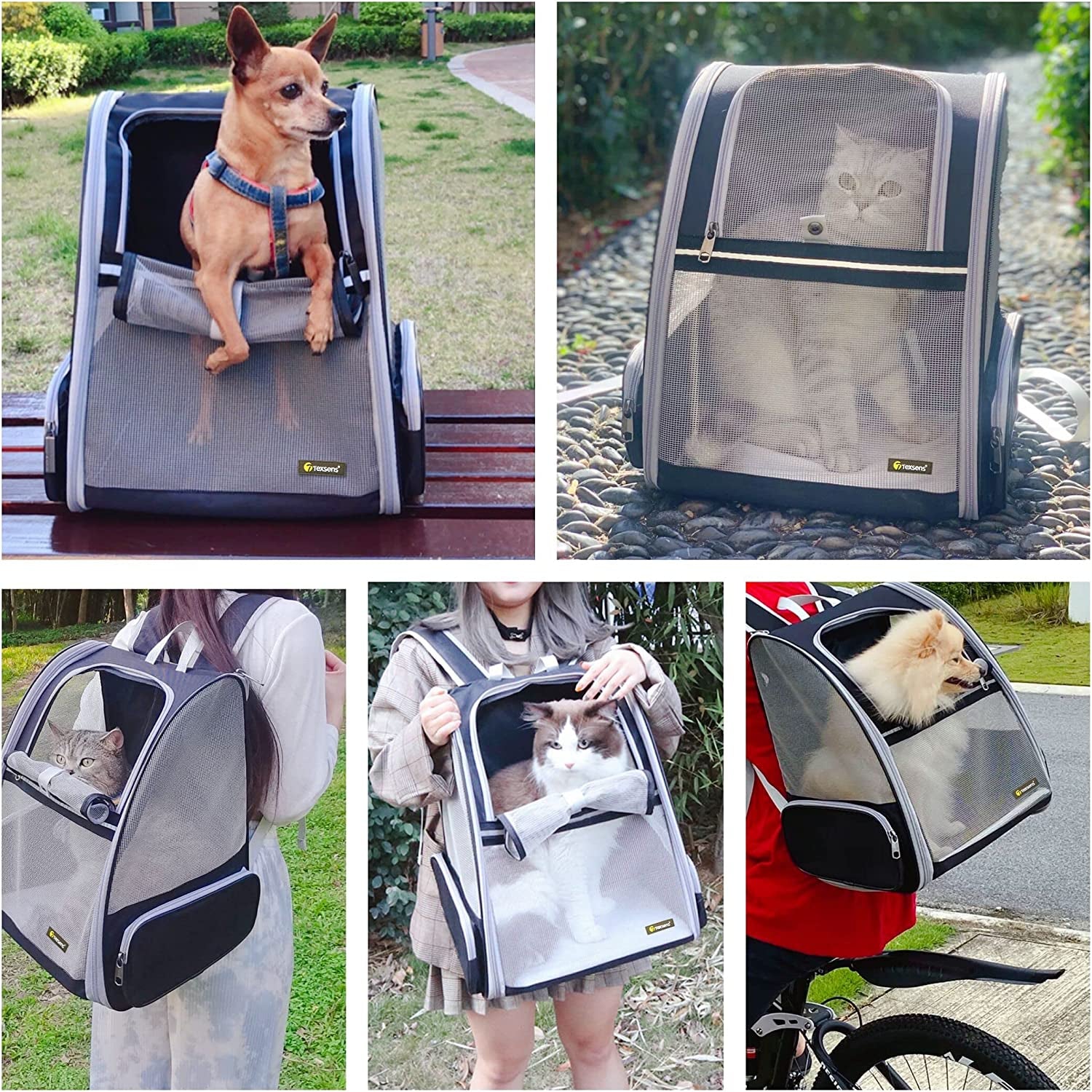 Bubble Backpack Pet Carrier for Cats & Dogs MJ's Pet Closet