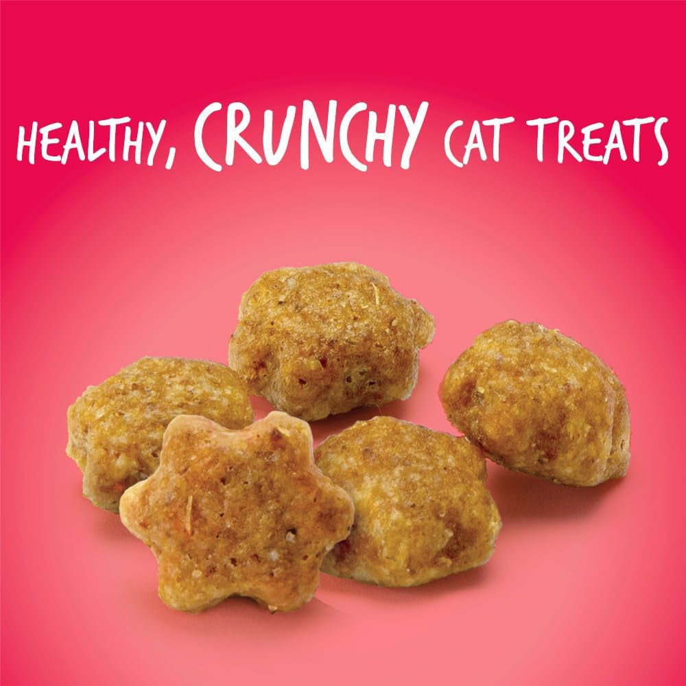Fruitables Crunchy Cat Treats – Real Salmon & Cranberry with Superfood Ingredients | 2.5 oz MJ's Pet Closet