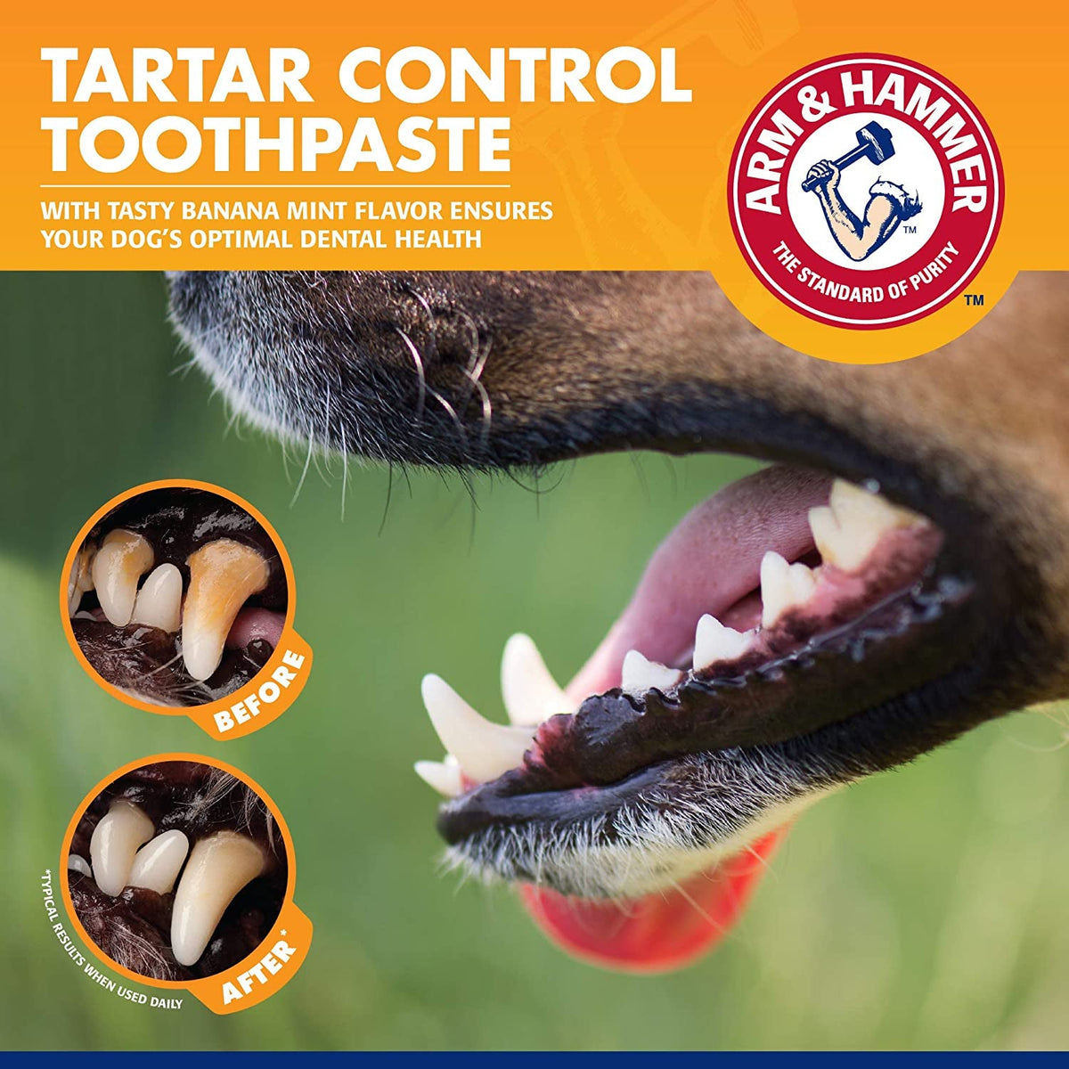 Arm & Hammer Tartar Control Dental Kit for Dogs MJ's Pet Closet