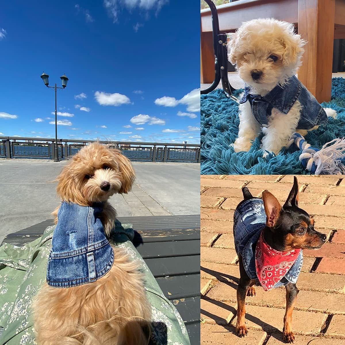 Blue Denim Pet Jacket | Dog & Cat Jean Vest Coat | Button Snap | XS–2XL Furr Baby Gifts