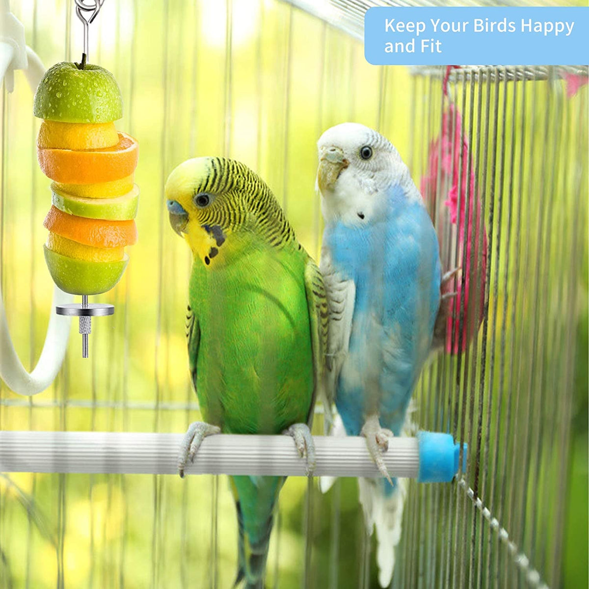 Daoeny 3Pcs Stainless Steel Bird Food Holder MJ's Pet Closet