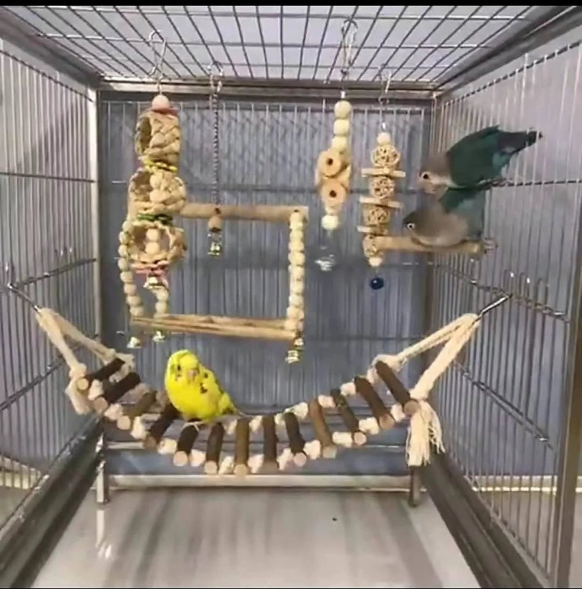 8-Piece Bird Toy Set – Perch, Ladder, Hammock, Swing & Chew Toys MJ's Pet Closet