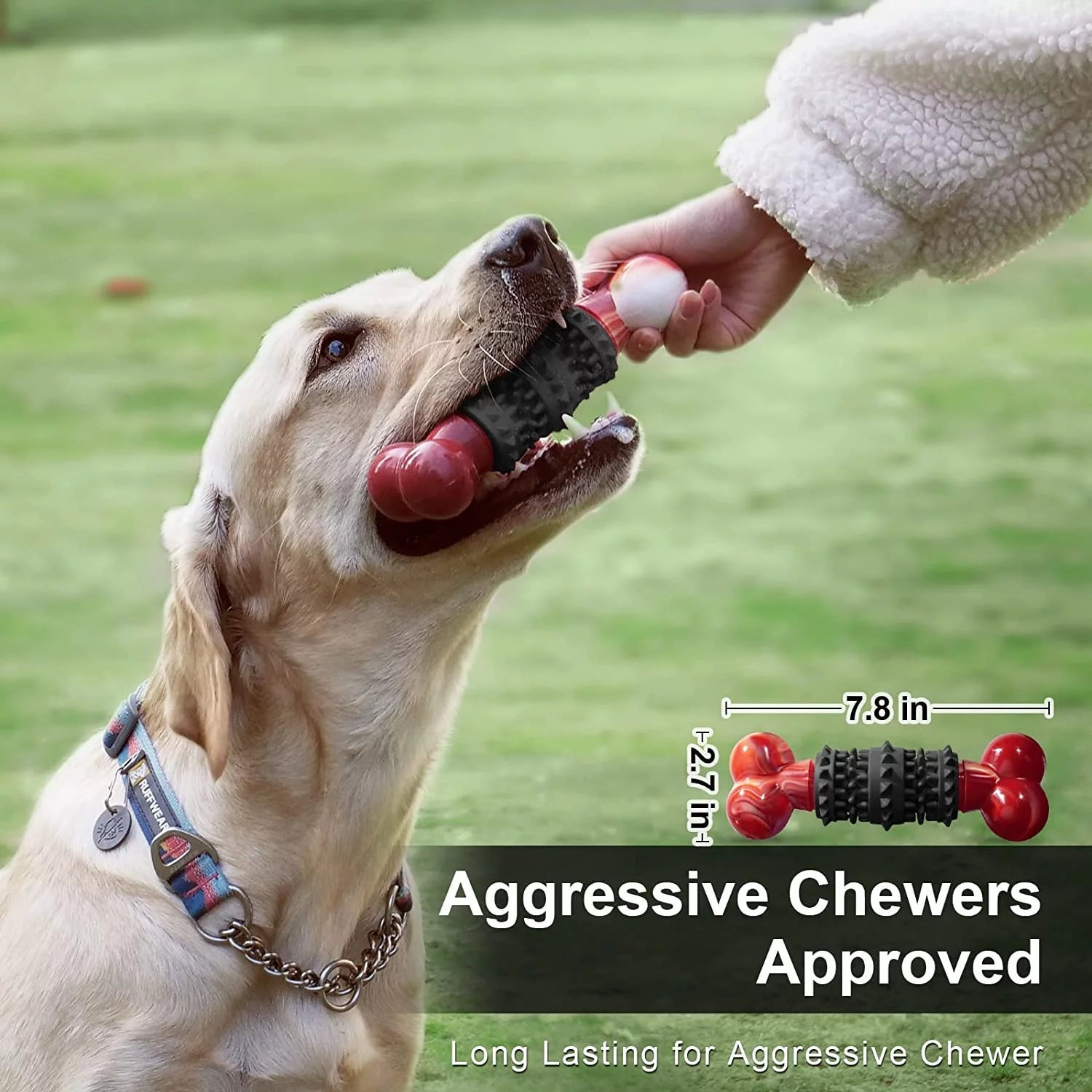 Dinosam Indestructible Dog Bone Toy – Aggressive Chewers MJ's Pet Closet