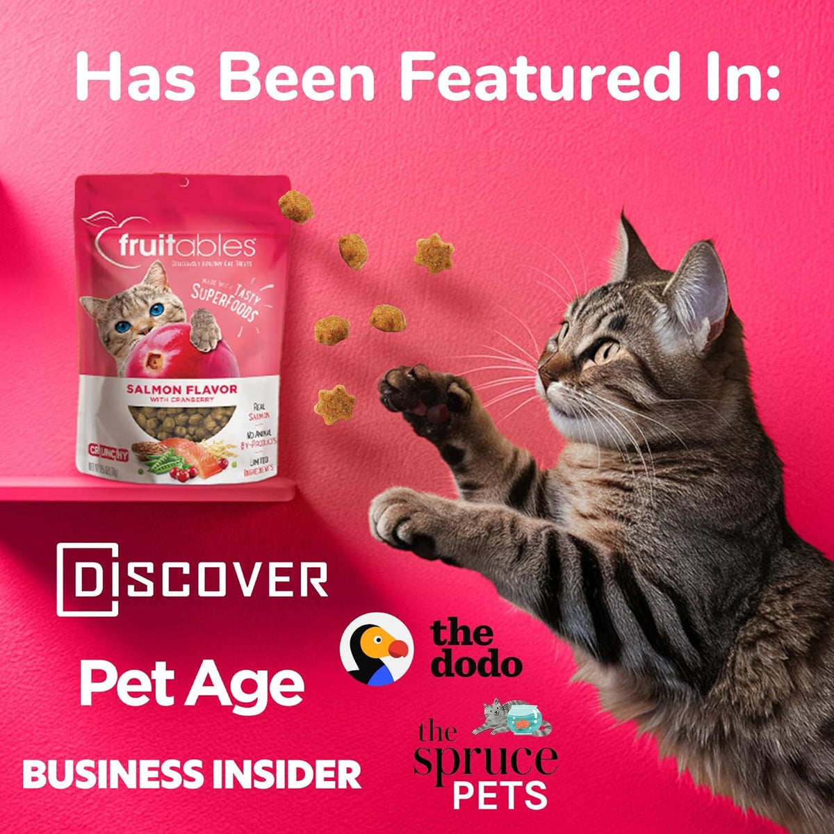 Fruitables Crunchy Cat Treats – Real Salmon & Cranberry with Superfood Ingredients | 2.5 oz MJ's Pet Closet