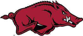 NCAA Arkansas Tusk the Razorback Knottie® Plush Dog Toy — Tough & Squeaky HuggleHounds