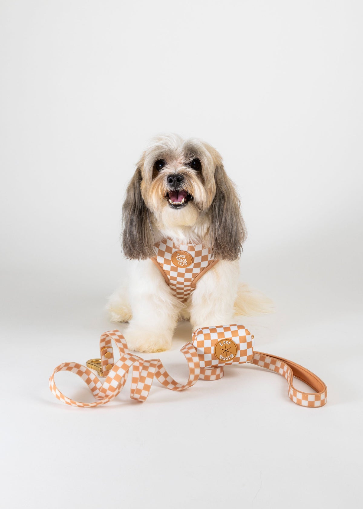 Check Me Out Adjustable Dog Harness – Custom Neoprene EverWoof
