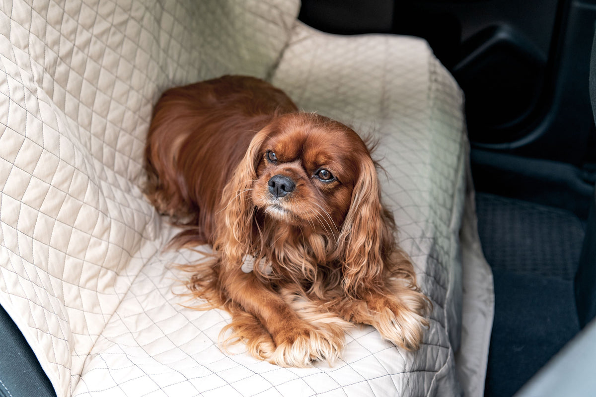 TuffutLuxx® Dog Car Seat Protector – Waterproof, Chew-Proof Travel Cover HuggleHounds