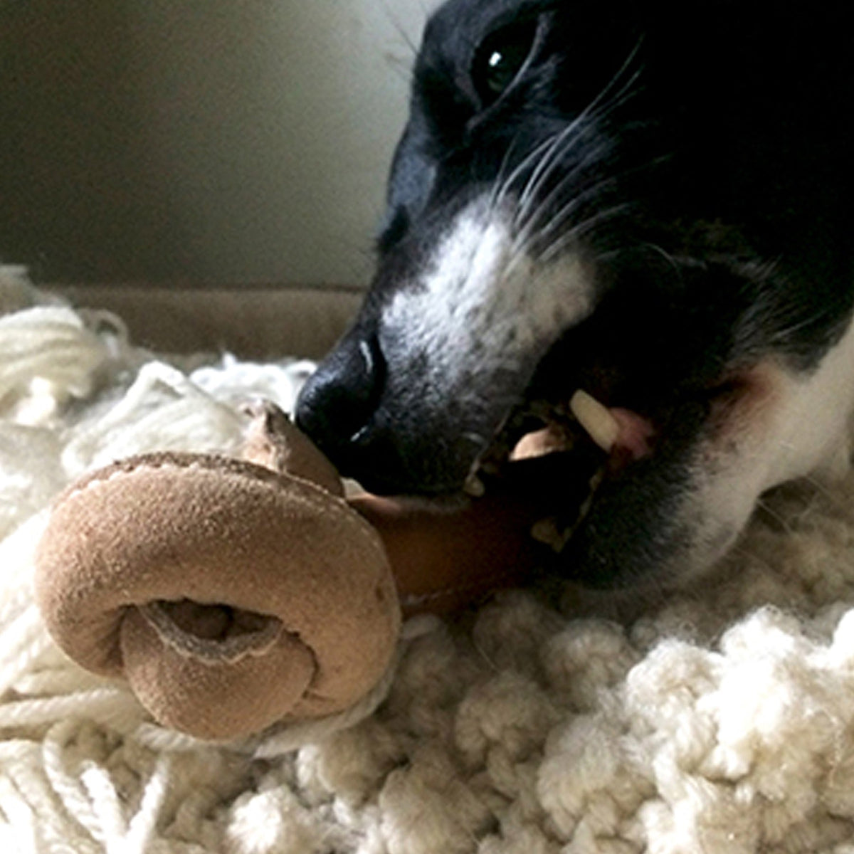 Huggle-Hide® Natural Leather Bone Dog Toy 3-Pack – Rawhide-Free, Water Buffalo & Cotton Rope HuggleHounds
