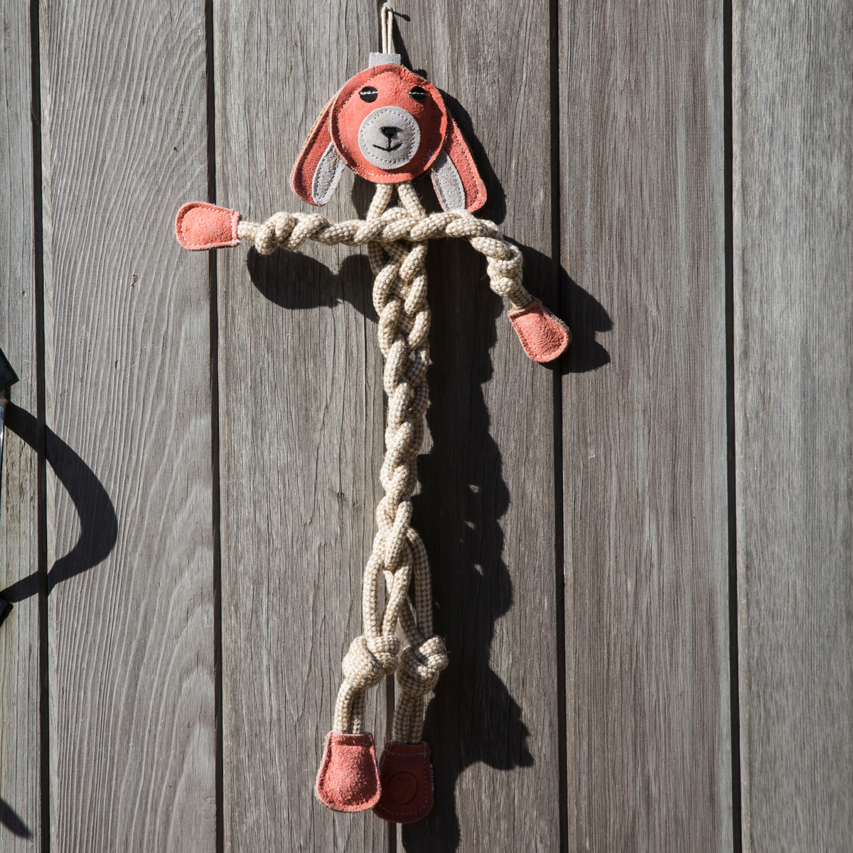 Dog toy with rope and plush dog head attached to a wooden surface