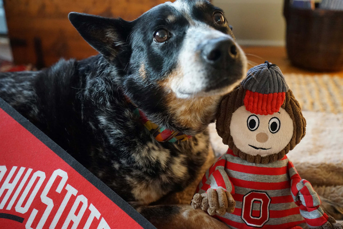Ohio State Buckeyes Brutus Knottie® Plush Dog Toy – Officially Licensed NCAA HuggleHounds