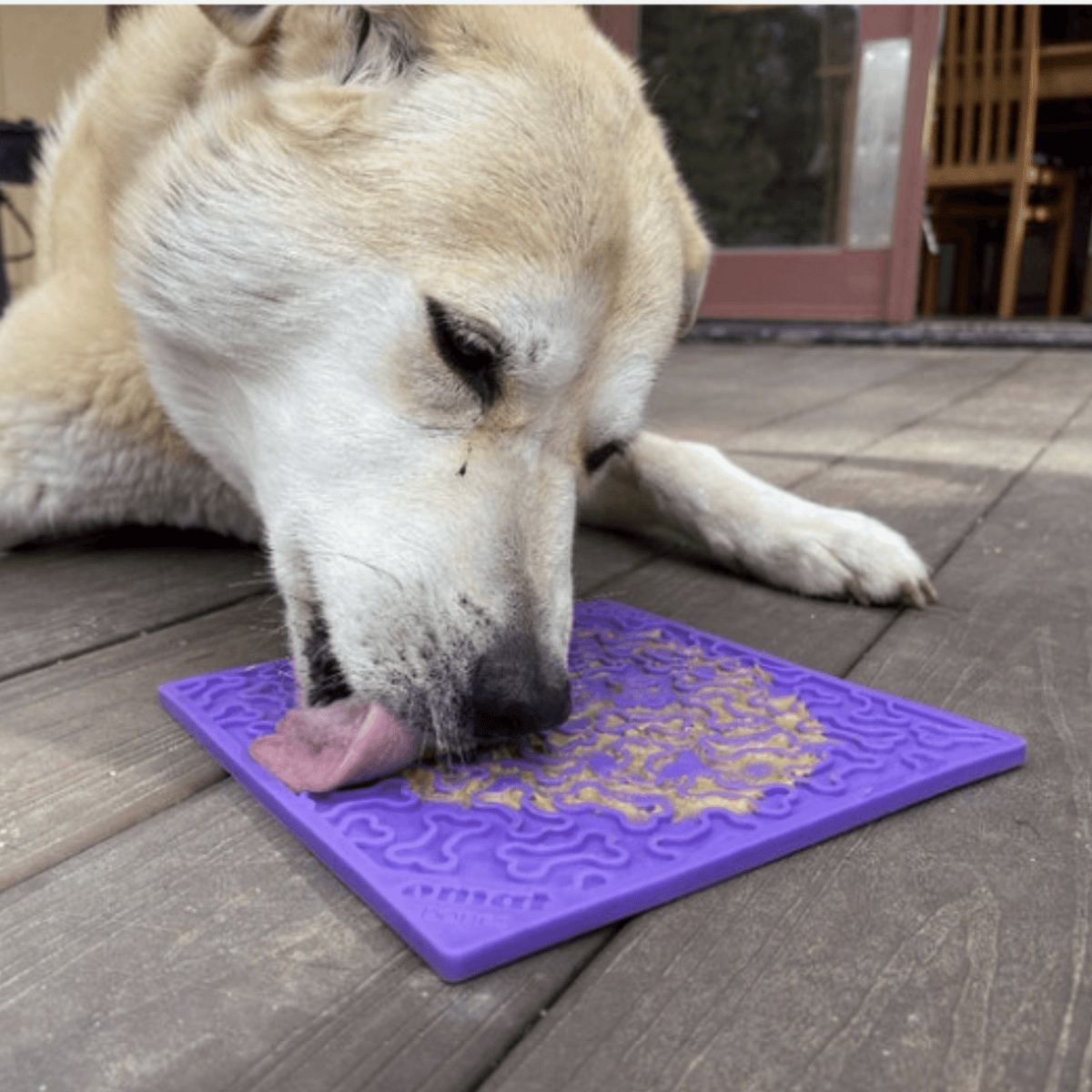 SodaPup Lick Mat for Dogs & Cats – Enrichment Feeder Farm To Pet