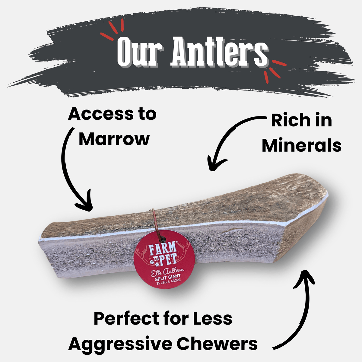 Farm to Pet Elk Antler Dog Chews – Whole & Split, All Sizes Farm To Pet