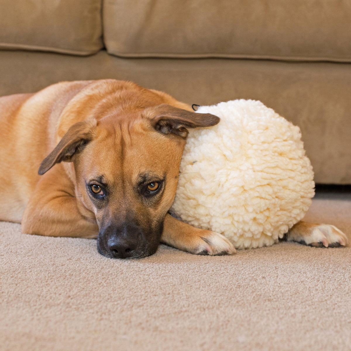 HuggleFleece® Plush Ball Dog Toy — Soft, Washable & Cuddly HuggleHounds