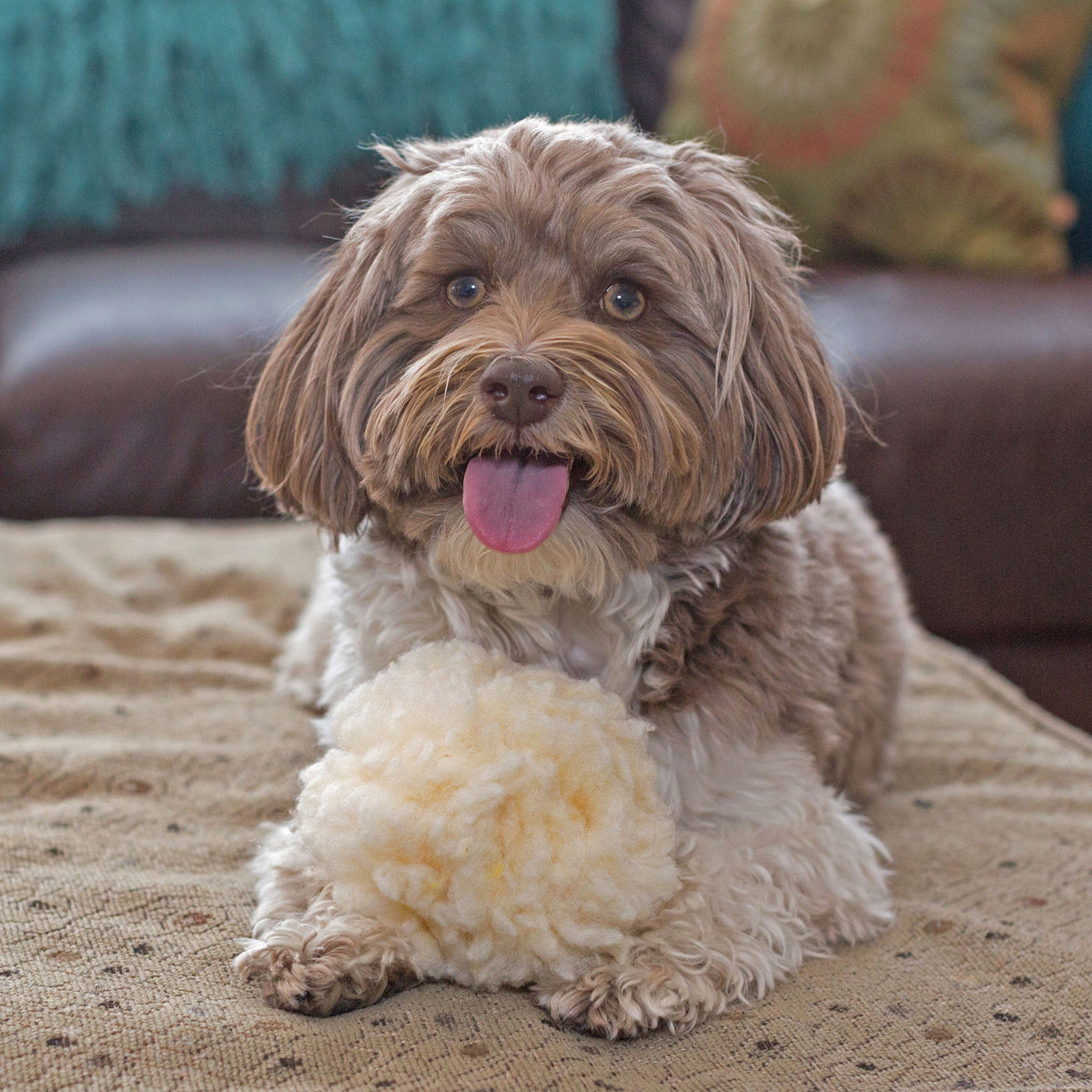 HuggleFleece® Plush Ball Dog Toy — Soft, Washable & Cuddly HuggleHounds