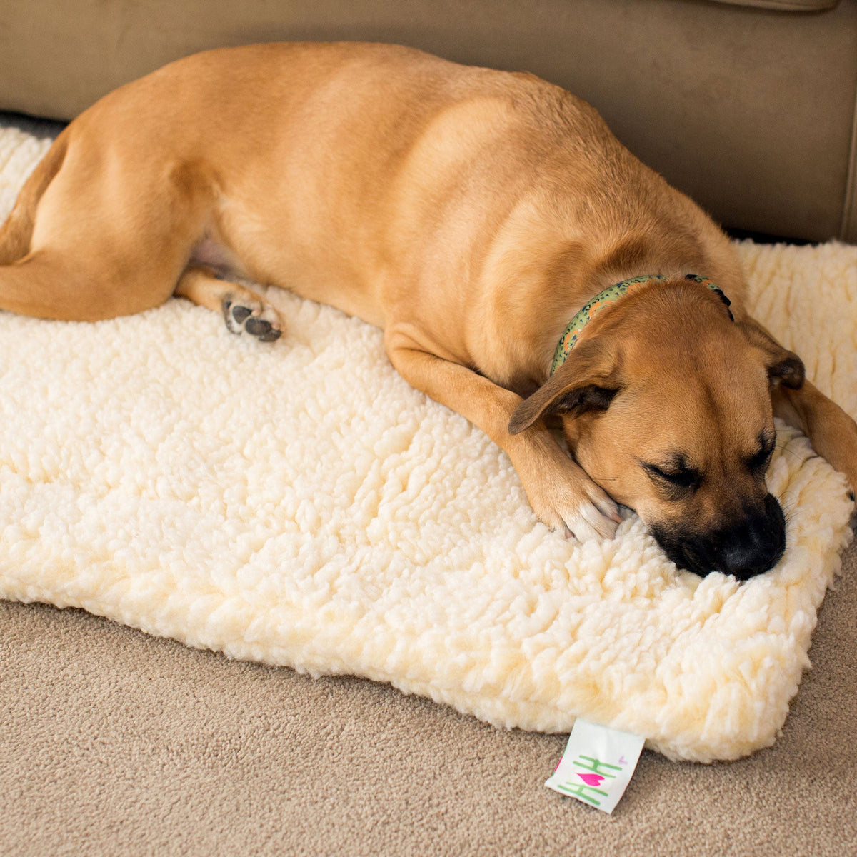 HuggleFleece® Fleece Mat for Dogs & Cats | Orthopedic Pet Bed HuggleHounds