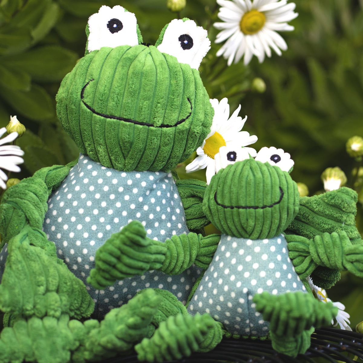 Fergie Frog Knottie® Plush Dog Toy – 5-Squeaker Tug & Chew Toy HuggleHounds
