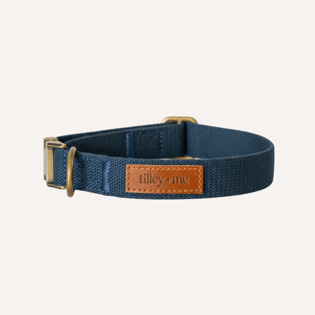 Tilley + Me Joshua Tree Hemp Cotton Dog Collar | Durable, Adjustable & Soft Tilley + Me