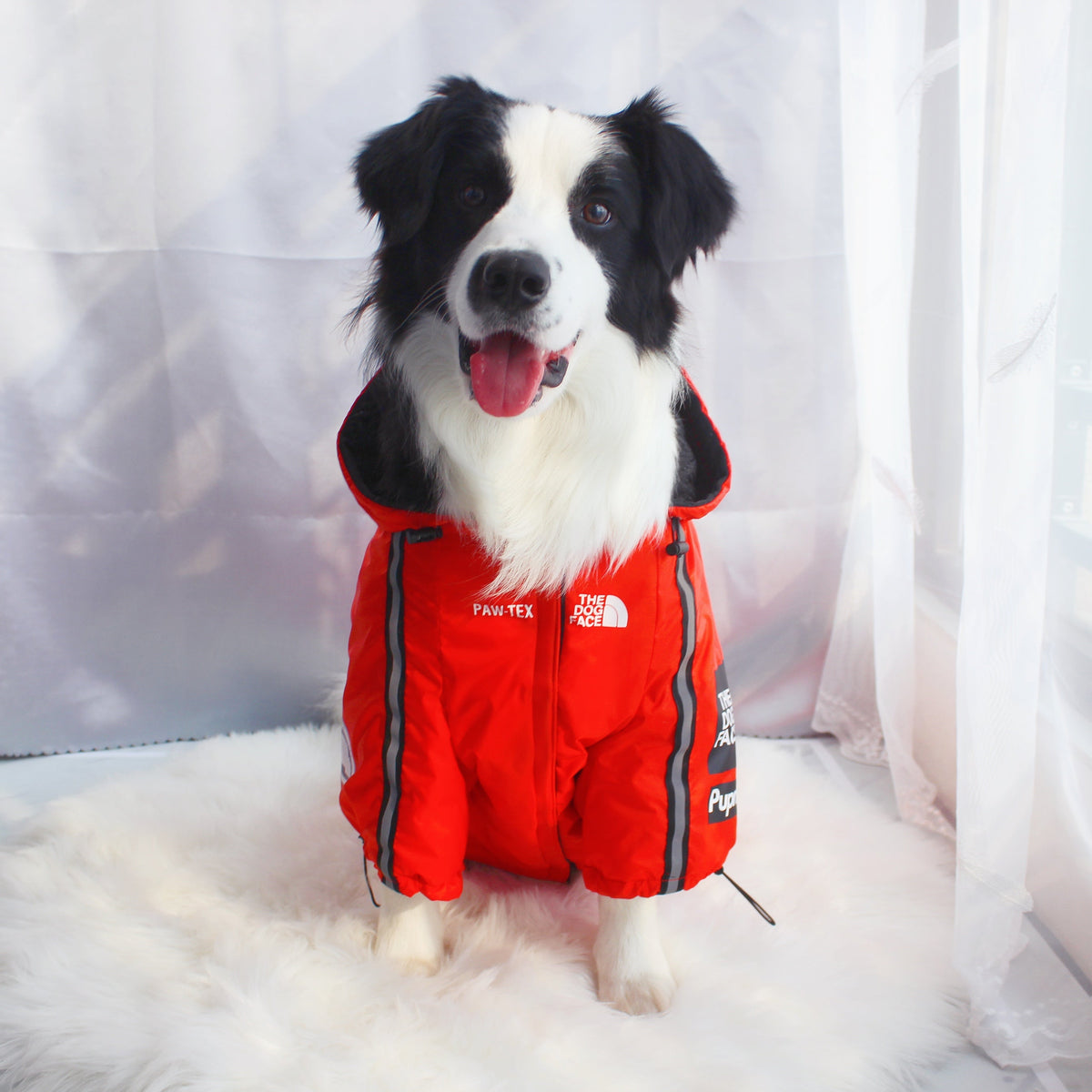 Windproof Waterproof Dog Rain Jacket | Reflective Hooded Raincoat for Dogs & Cats | S–5XL Furr Baby Gifts