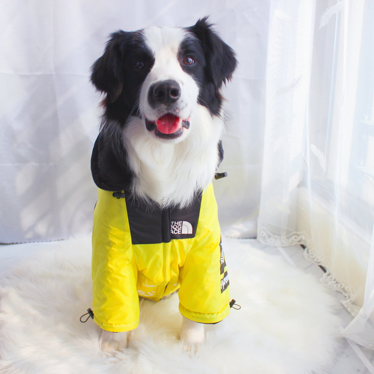 Windproof Waterproof Dog Rain Jacket | Reflective Hooded Raincoat for Dogs & Cats | S–5XL Furr Baby Gifts