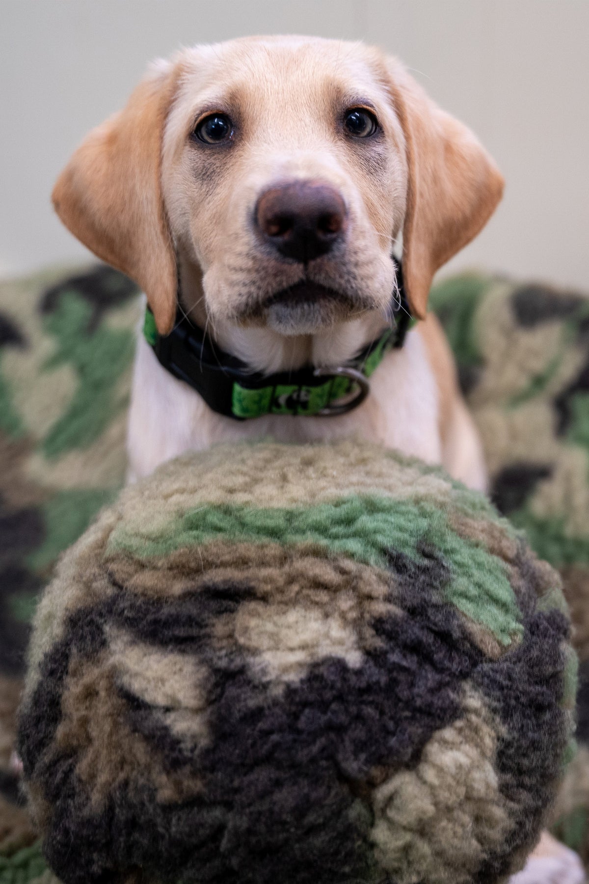 Camouflage HuggleFleece® Plush Ball Dog Toy – HuggleCause™ x Warrior Canine Connection HuggleHounds