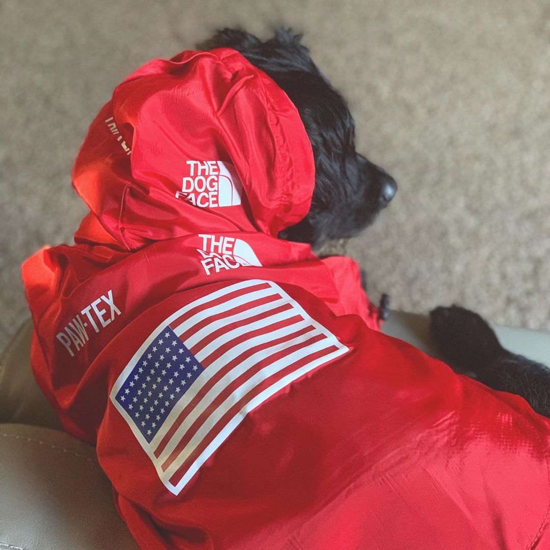 Windproof Waterproof Dog Rain Jacket | Reflective Hooded Raincoat for Dogs & Cats | S–5XL Furr Baby Gifts