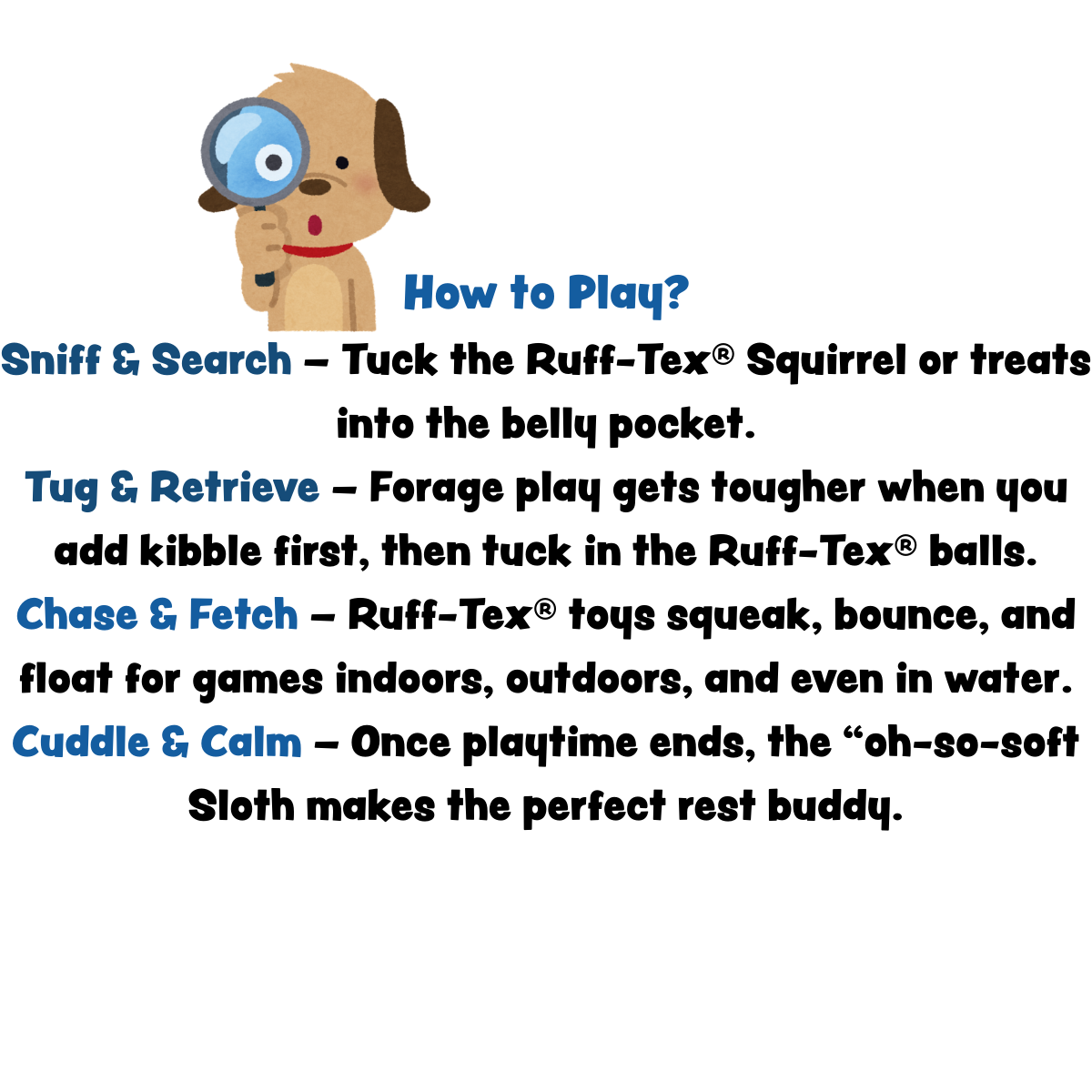 Dog toy with instructions on how to play with it on a white background