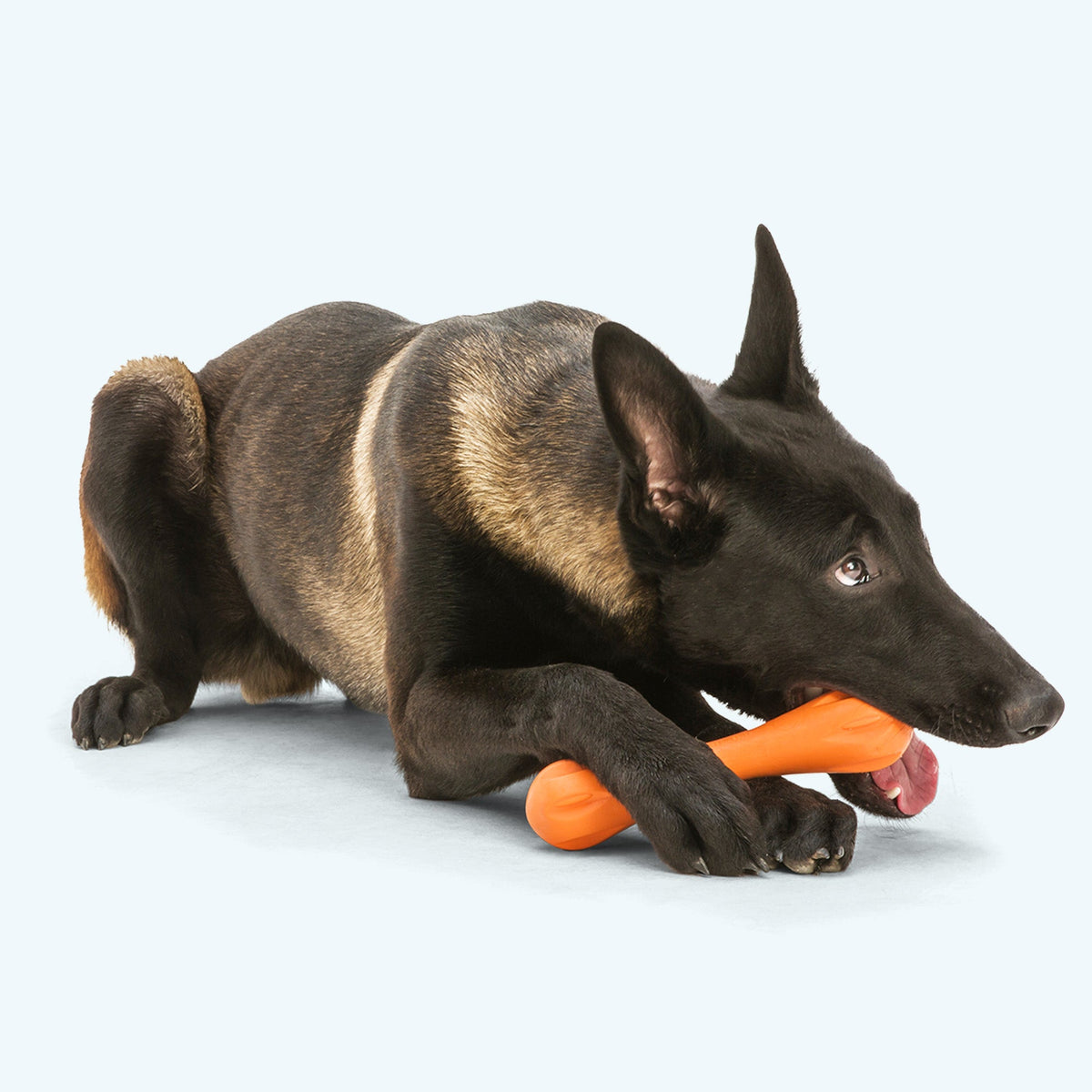 West Paw Hurley Dog Bone | Tough Chewer Fetch Toy | Floatable & Non-Toxic | XS, S, L West Paw