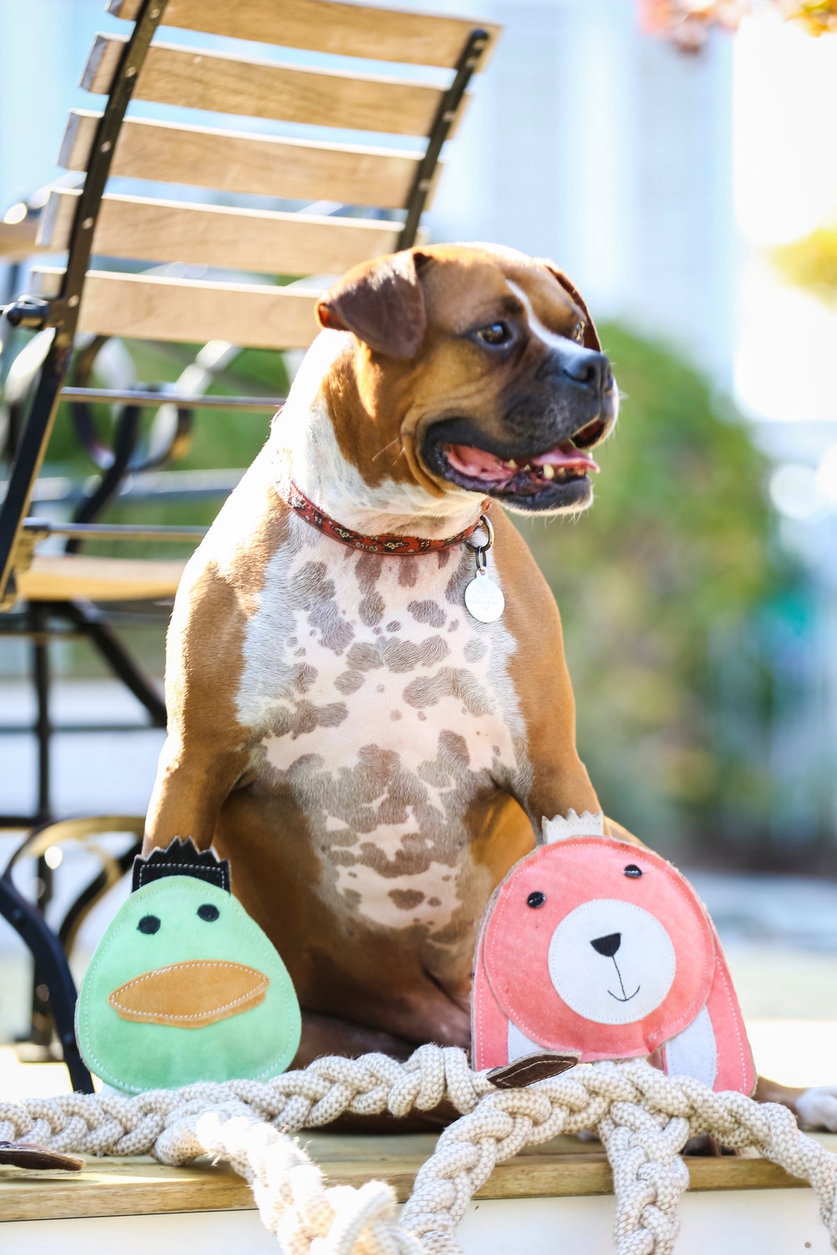 Dilly Duck Natural Rope Knottie® Dog Toy – Large, 9mm Cotton & Hemp Rope HuggleHounds