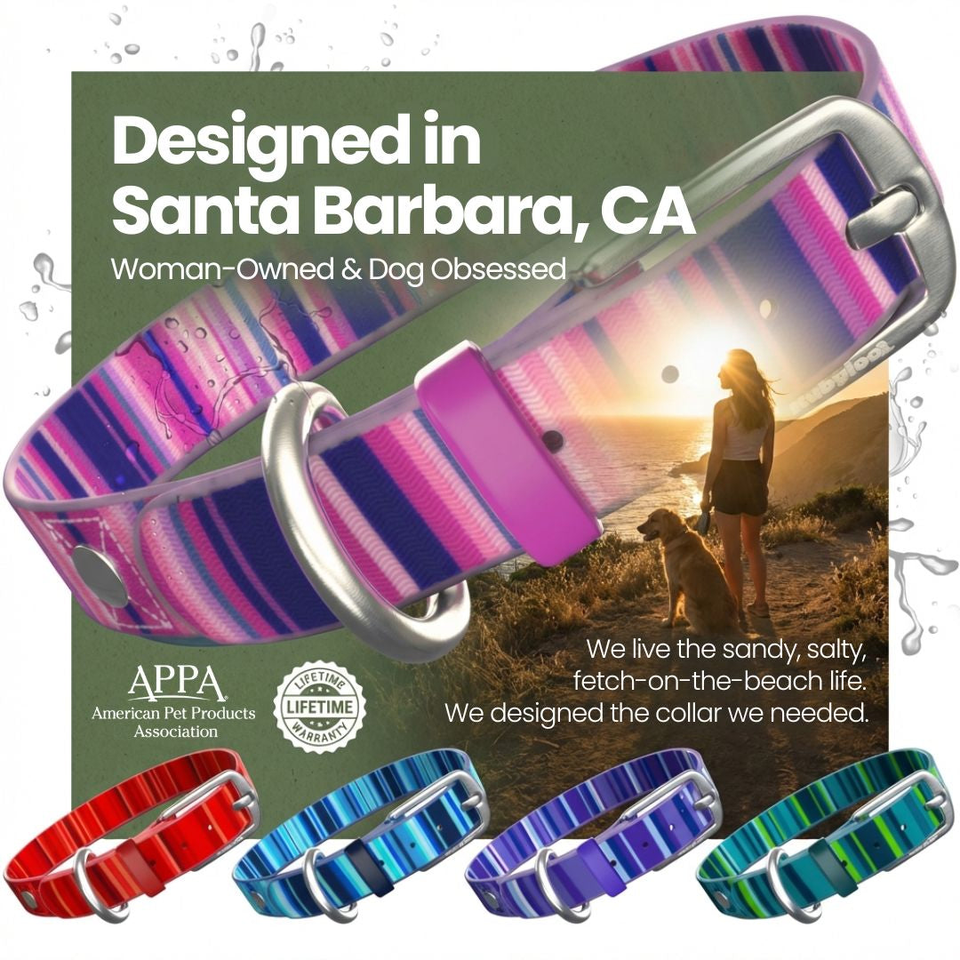 Rubyloo Waterproof Dog Collar | Washable, Stink-Proof & Quick-Dry | S/M/L Rubyloo