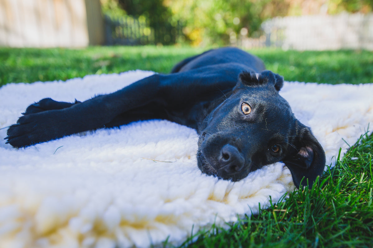 HuggleFleece® Fleece Mat for Dogs & Cats | Orthopedic Pet Bed HuggleHounds