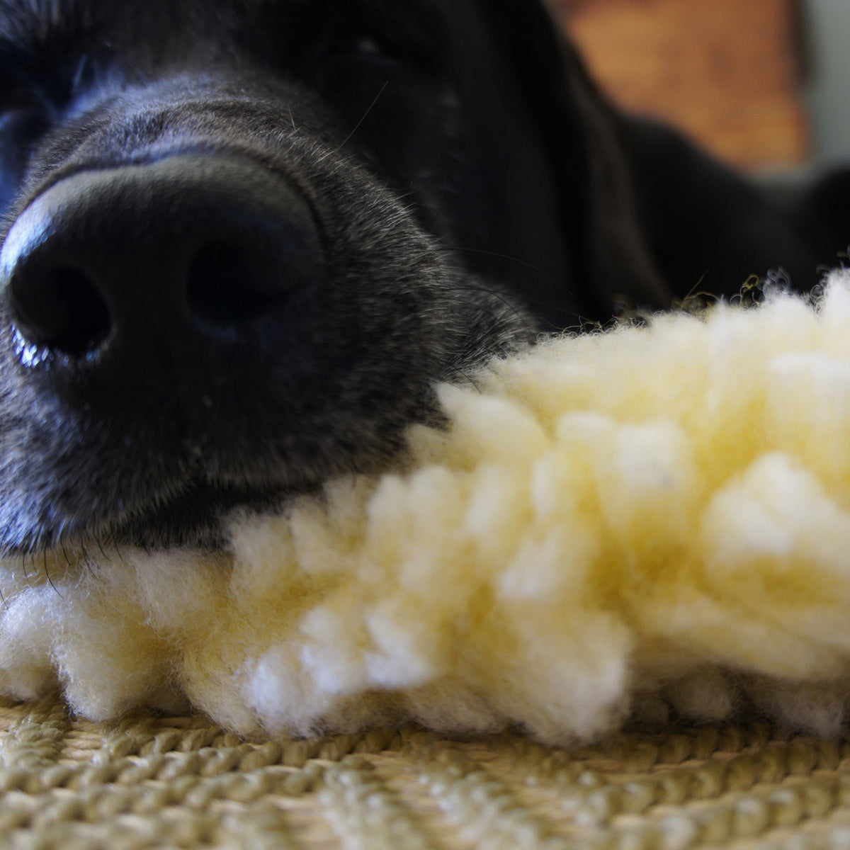 HuggleFleece® Fleece Mat for Dogs & Cats | Orthopedic Pet Bed HuggleHounds