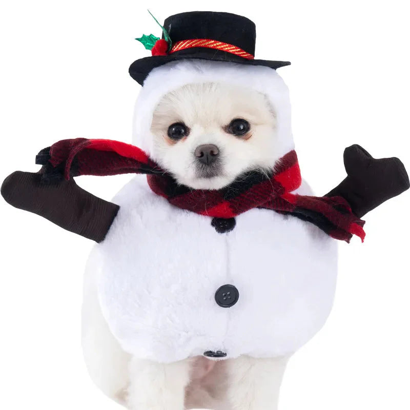 Halloween Dagger Pet Costume – Funny Knife-Holding Dress-Up Econic Blanks