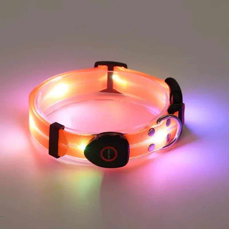 Light Up Leash Safety Glow USB Rechargeable