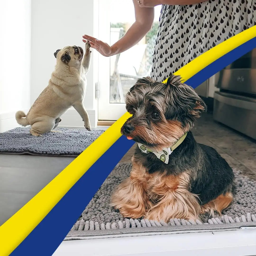 Super Absorbent Microfiber Door Mat for Muddy Paws