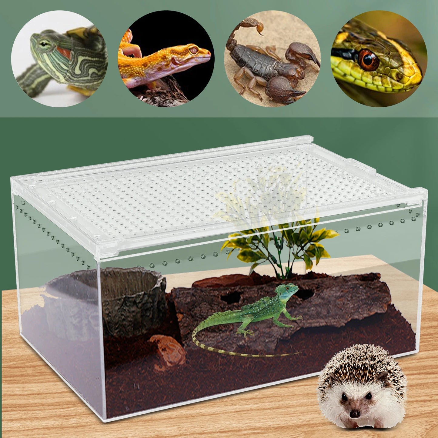 Acrylic Reptile Terrarium 12x8x6" Stackable with Magnetic Lock