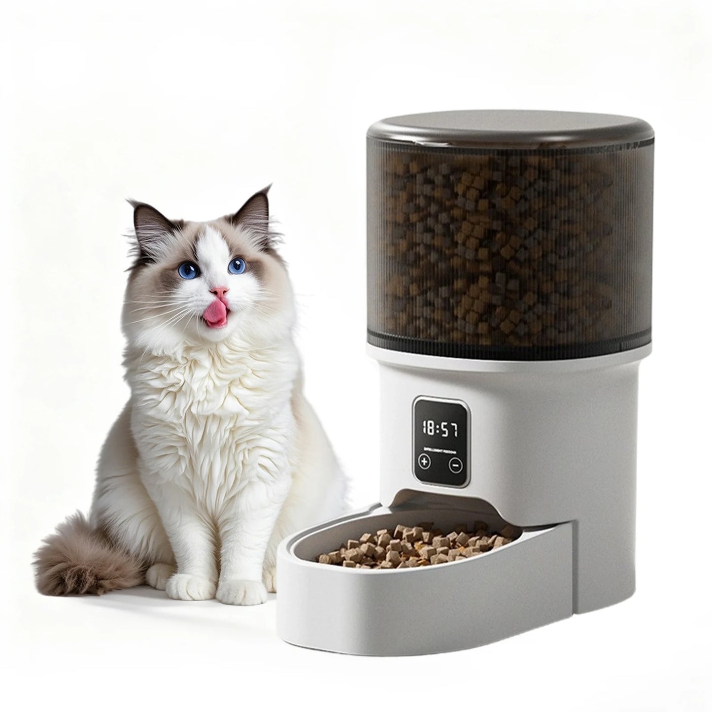 Programmable 4L Automatic Pet Feeder Up to 6 Meals Daily