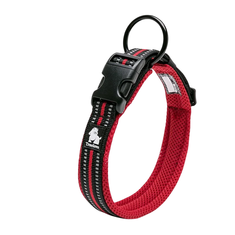 Walking Collar Comfort Padded with Buckle
