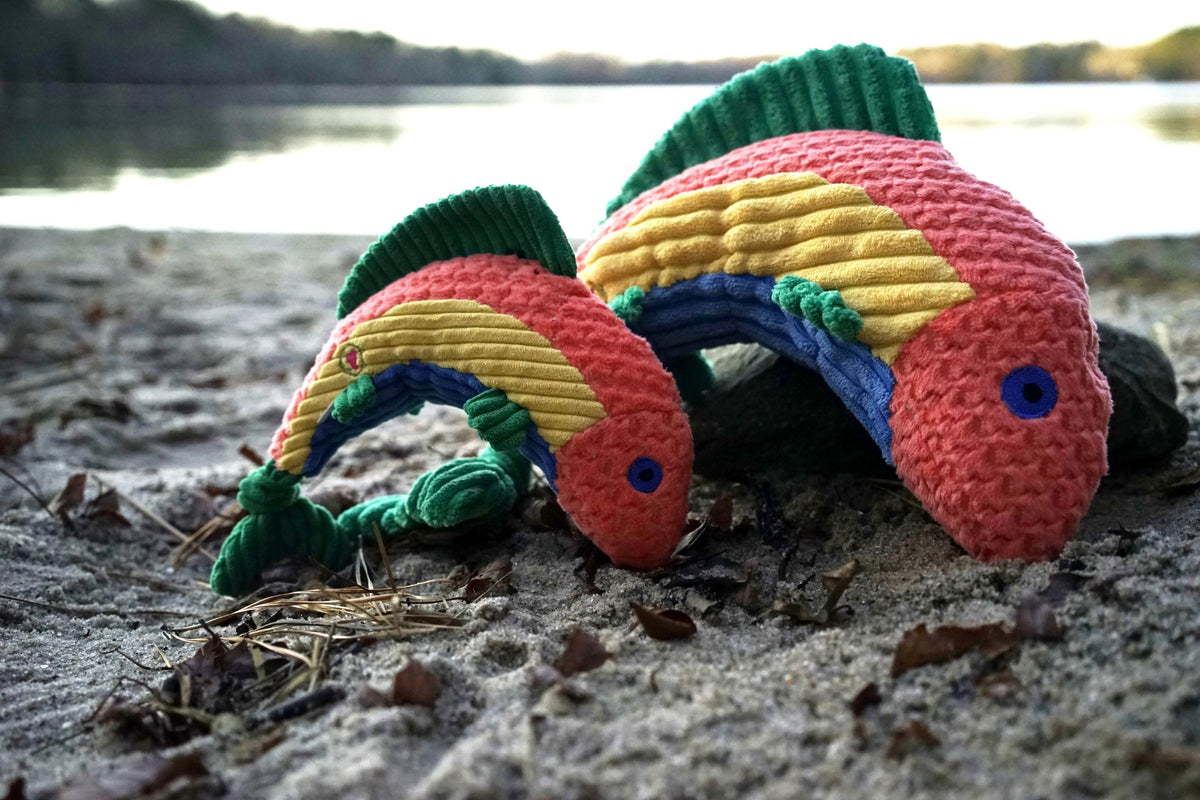 Raucous Rainbow Trout Knottie® Plush Dog Toy – Squeaky Fish Toy for Dogs HuggleHounds