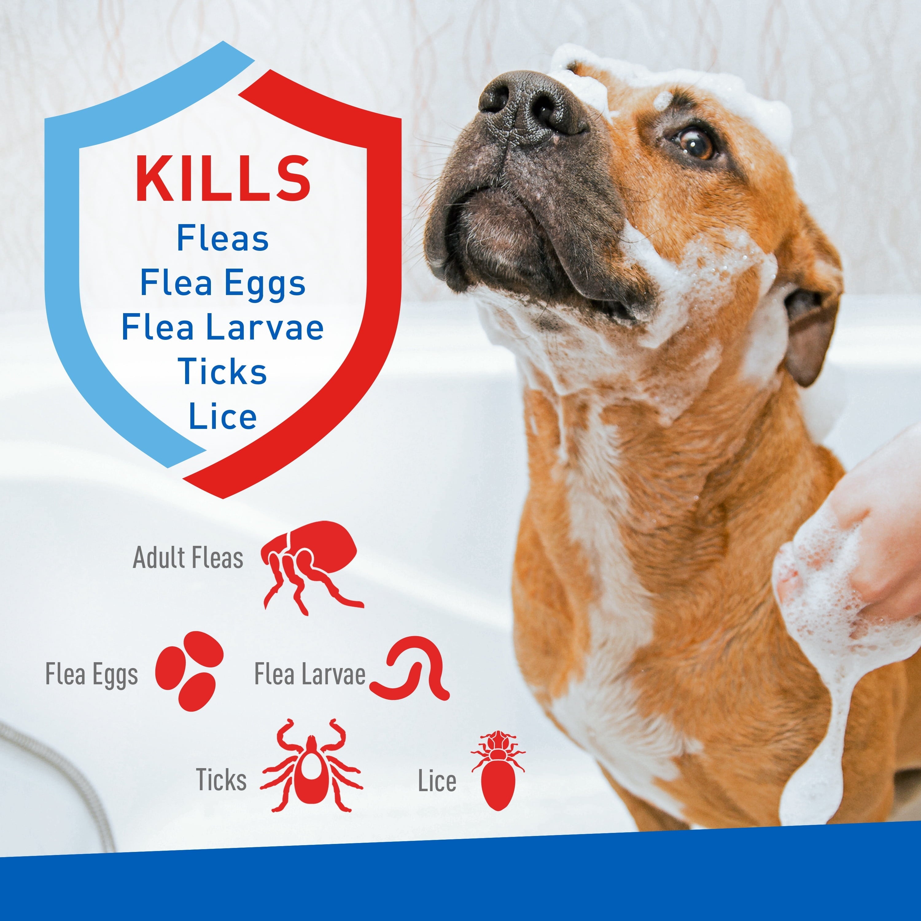 ADAMS Plus Flea & Tick Foaming Shampoo – Sensitive Skin, 2-Pack MJ's Pet Closet