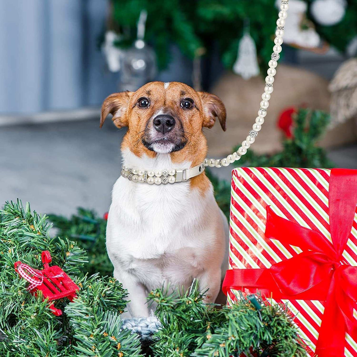 Pearl Dog Collar & Leash Set – 2-Row Pearl Necklace with PU Leather Leash for Small & Medium Dogs MJ's Pet Closet